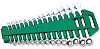 Набор ключей гаечных комбинированных трещоточных на держателе, 8-24 мм, 16 предметов W45516S - фото Мастеринструмент